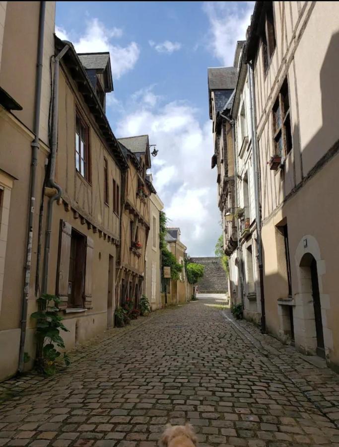 Le Chateau Angers Kültér fotó